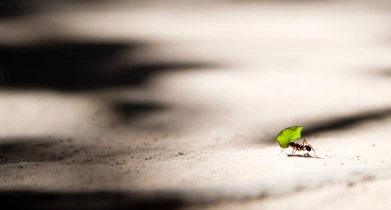 Link to There is love even in the smallest things