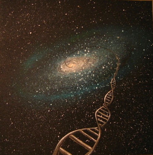 Link to Stories are made of stardust.