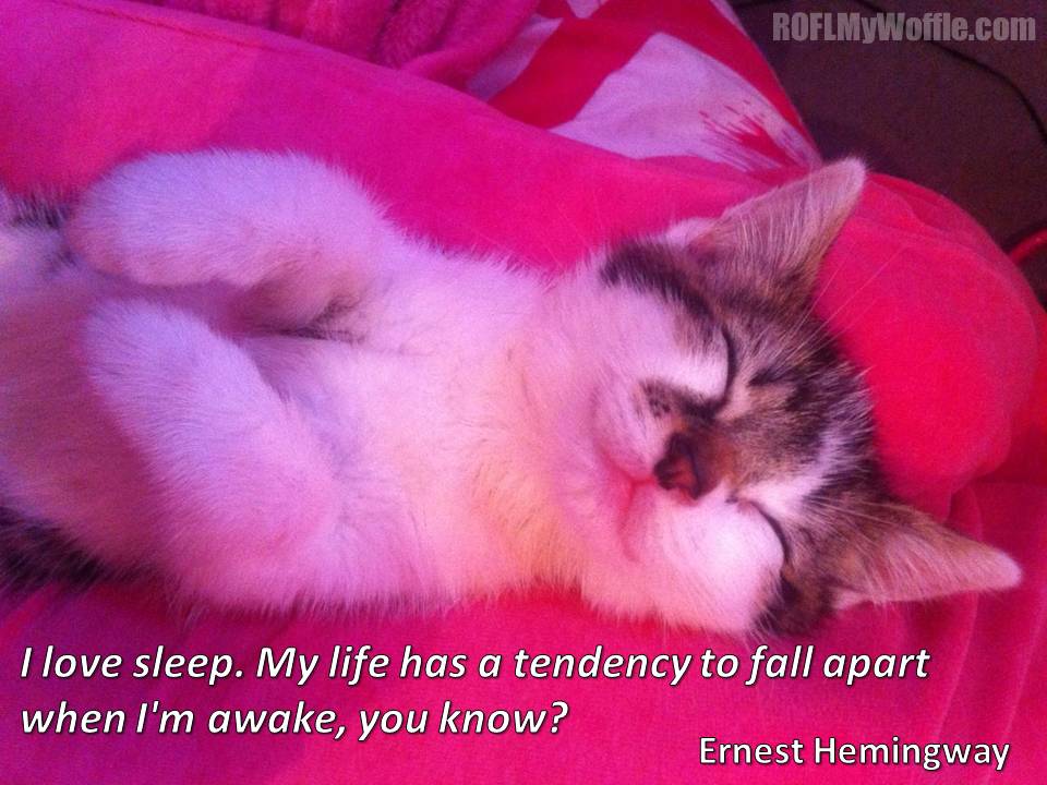 Link to Sleep, dear me.