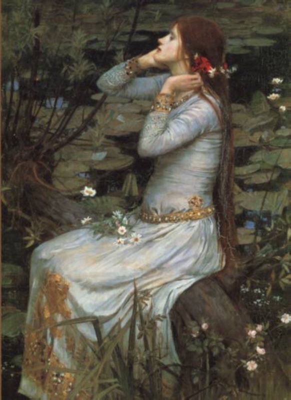 Link to Butterflies