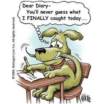 Link to A reason to maintain a diary.